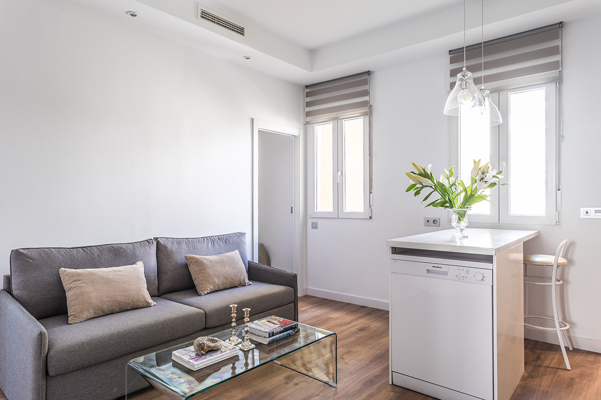 Reforma integral en calle Duque de Alba, Lavapiés