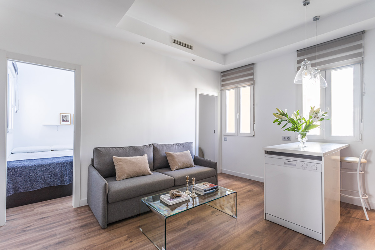 Reforma integral en calle Duque de Alba, Lavapiés